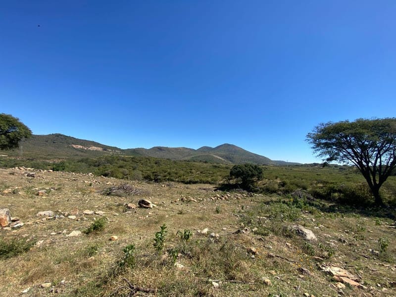 Terreno en Venta en Ixtlahuacan de los Membrillos