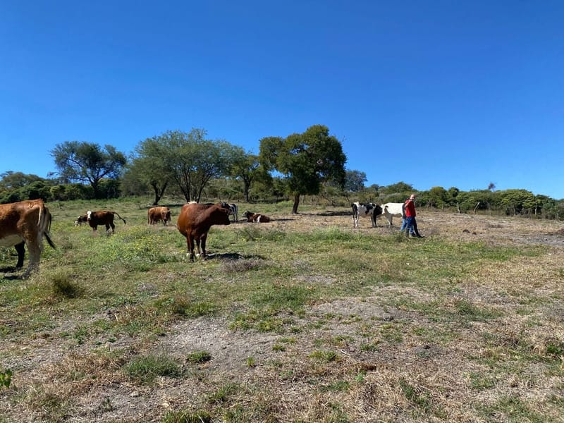 Terreno en Venta en Ixtlahuacan de los Membrillos