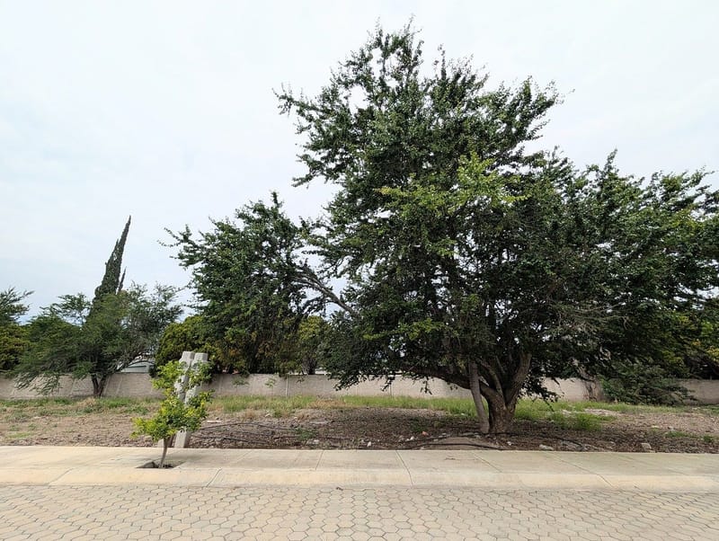 Terreno en venta en fraccionamiento Jocotepec (Roca Azul)