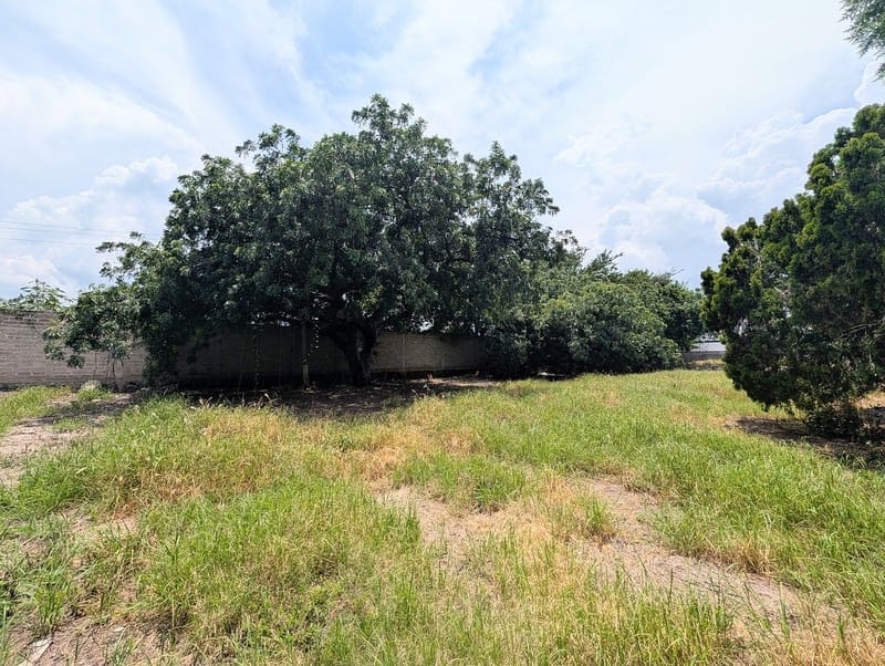 Terreno en venta con ubicación privilegiada en fraccionamiento en Jocotepec (RA)